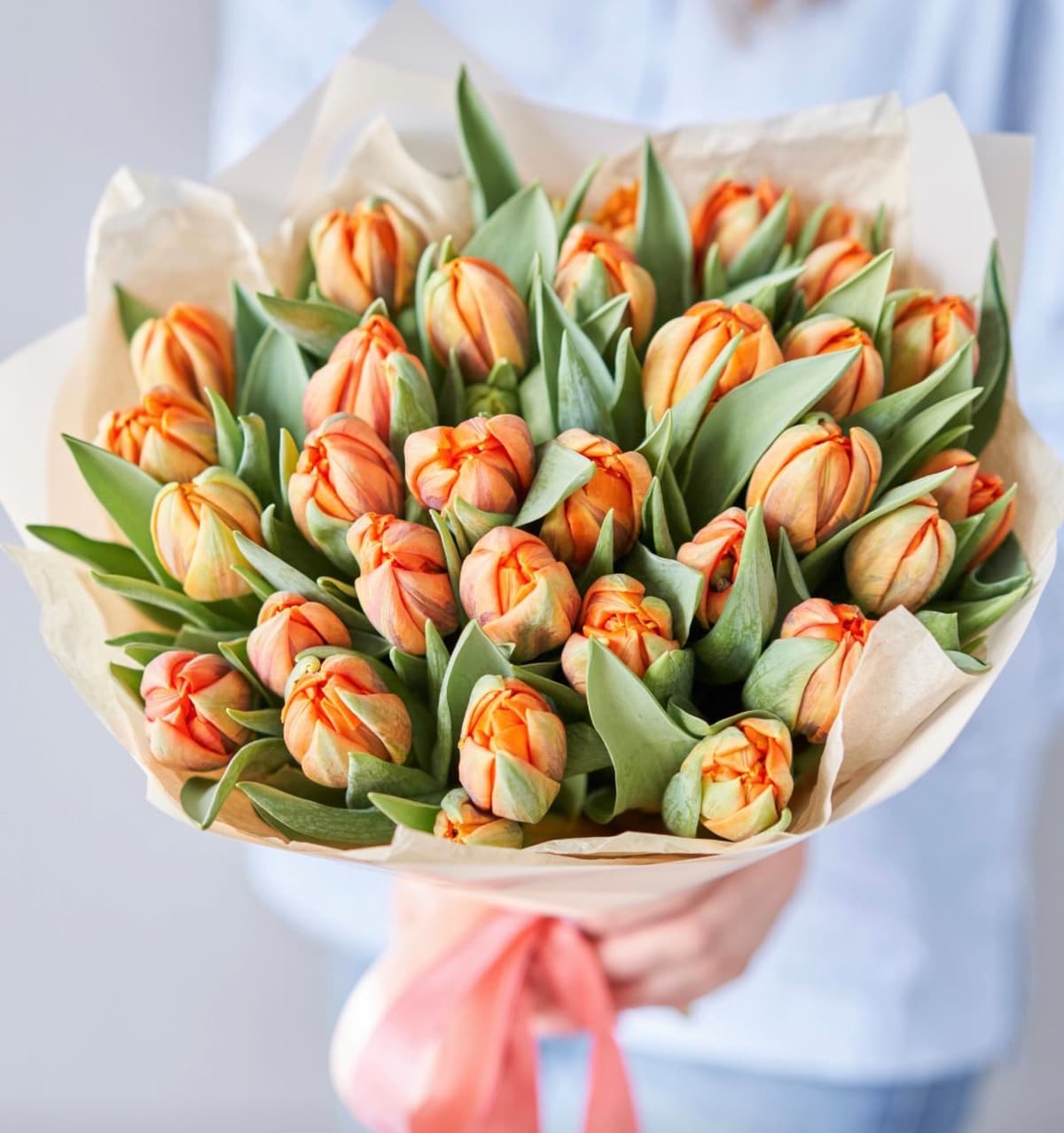 Tulipani